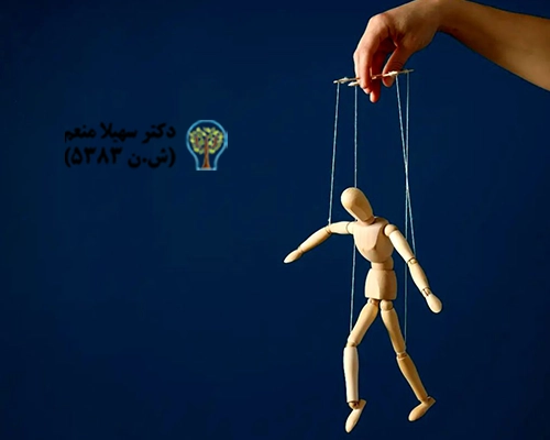 انواع شخصیت کنترل‌گر می‌توانند شامل افراد سلطه‌جو، افرادی که به طور مداوم ایراد می‌گیرند و کسانی که از احساسات دیگران سوءاستفاده می‌کنند، باشند.